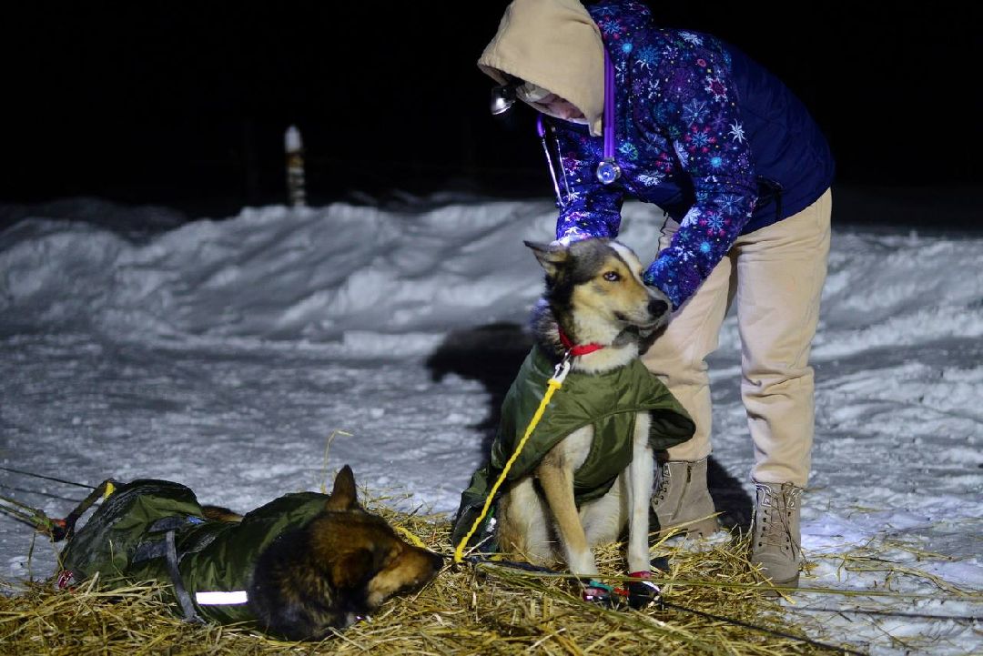 Подмосковье, Собаки, ГонкиНаСобачьихУпряжках, Можайск, Каюр, Байкал, БайкалРейс