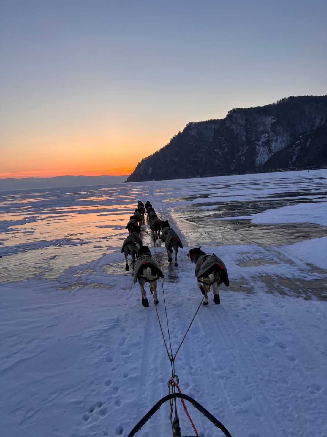 Подмосковье, Собаки, ГонкиНаСобачьихУпряжках, Можайск, Каюр, Байкал, БайкалРейс