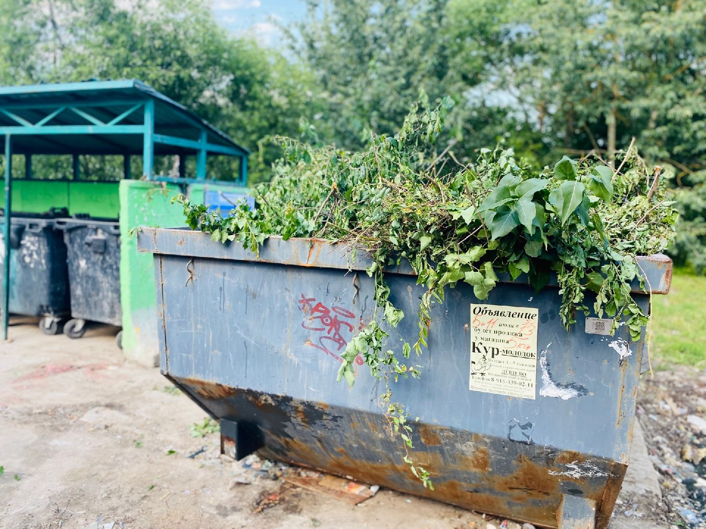 Домодедово, село Ильинское, контейнерная площадка, вывоз мусора