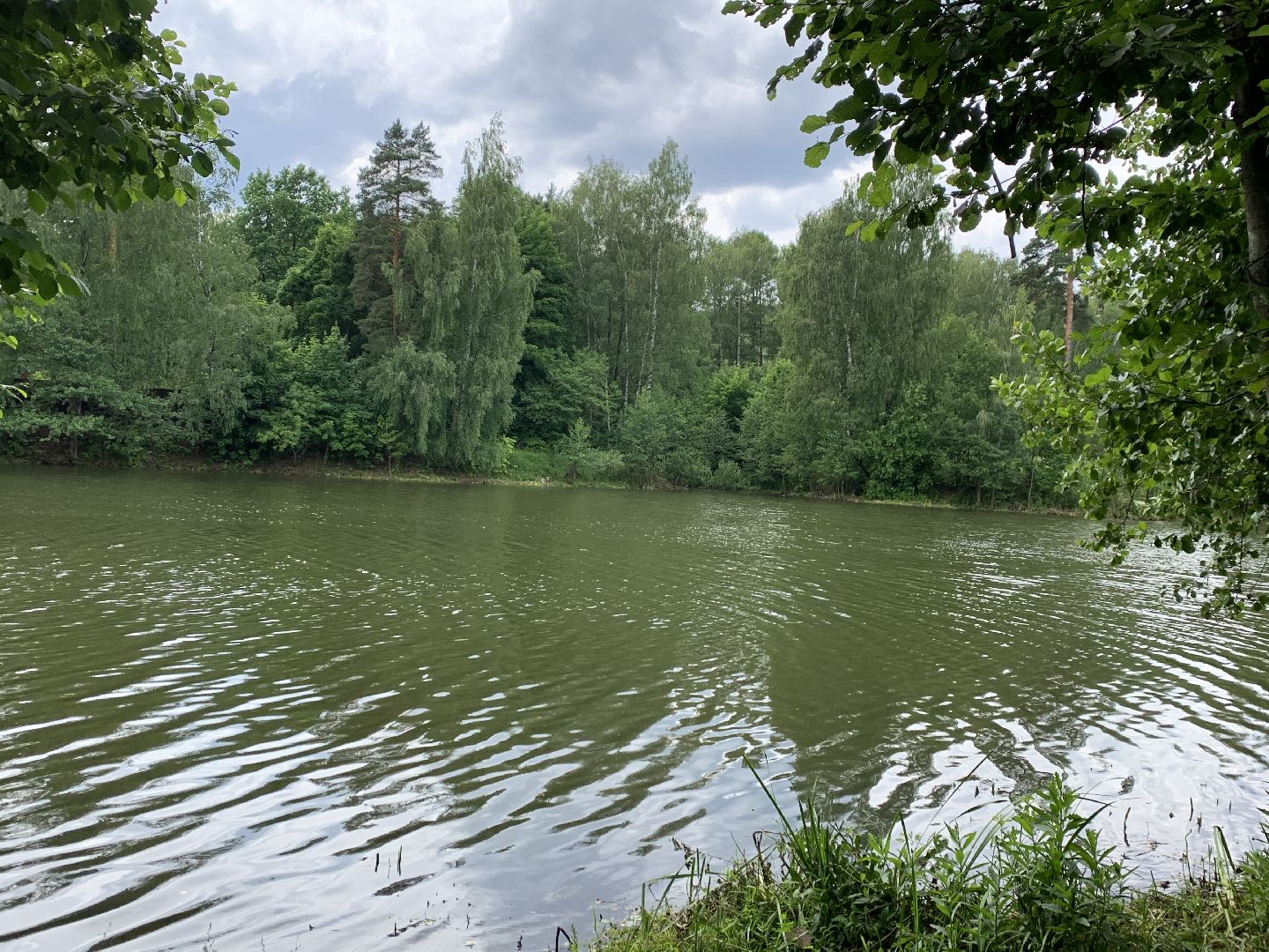 Балашиха, Подмосковье, экология, 100 прудов и озёр,водоёмы