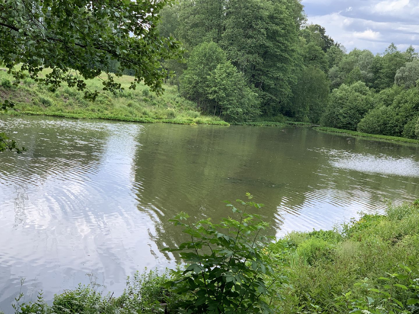 Балашиха, Подмосковье, экология, 100 прудов и озёр,водоёмы