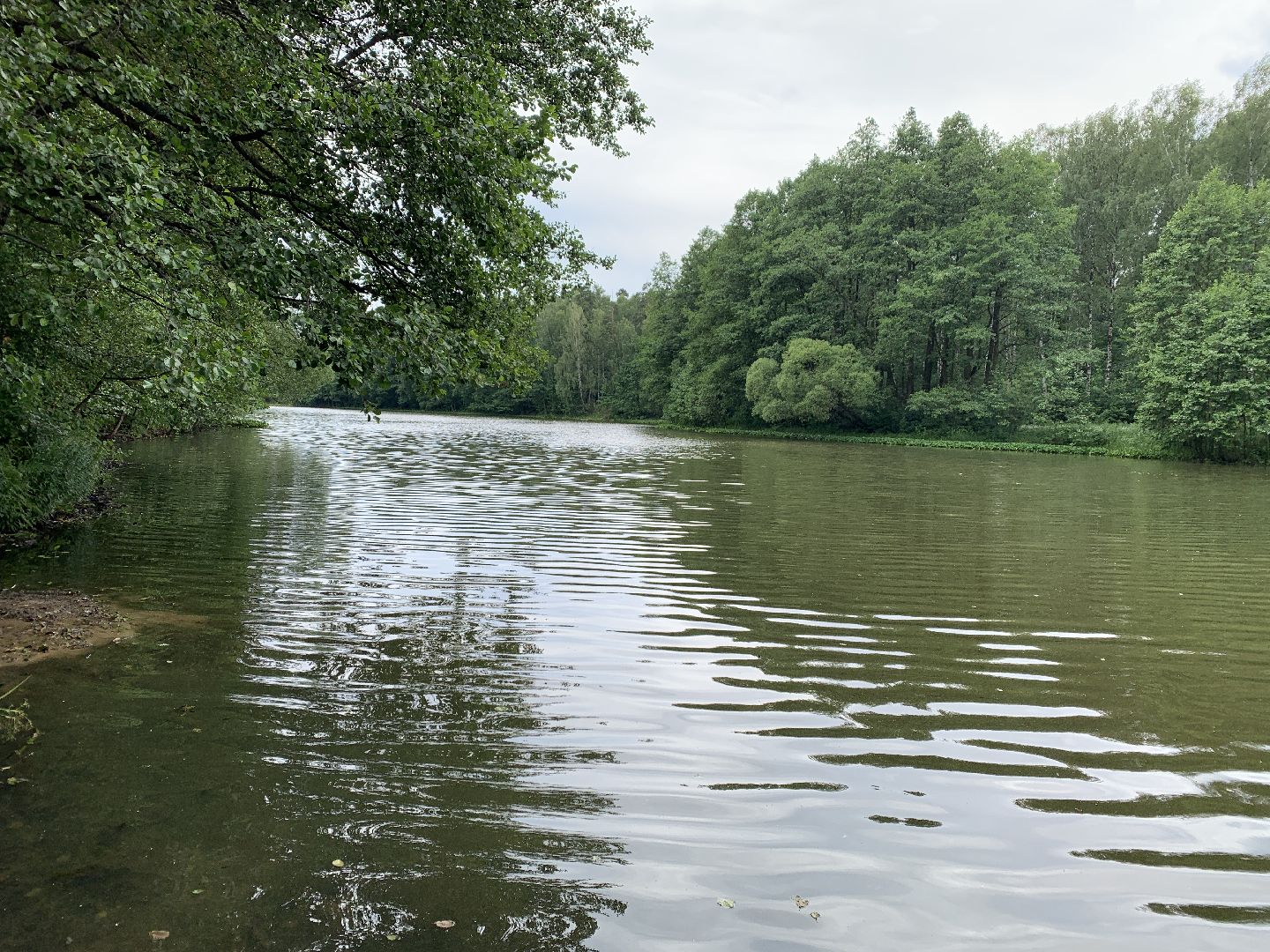 Балашиха, Подмосковье, экология, 100 прудов и озёр,водоёмы