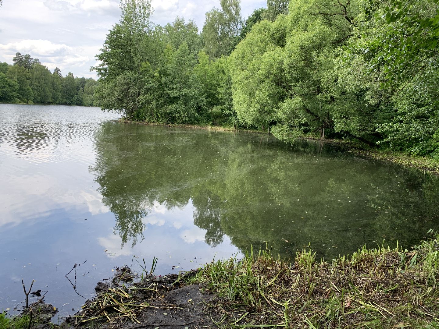 Балашиха, Подмосковье, экология, 100 прудов и озёр,водоёмы