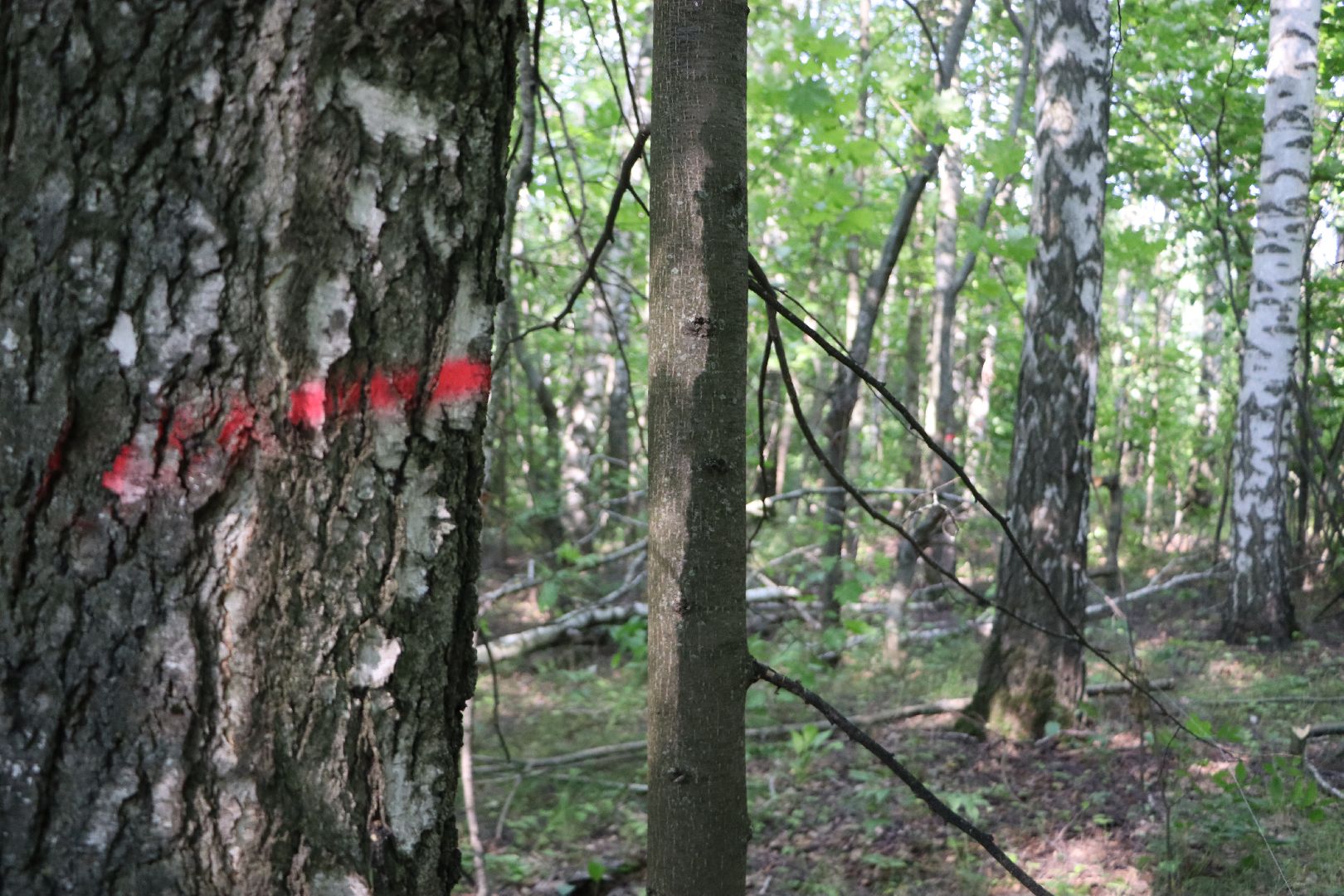 Серебряные Пруды, экология