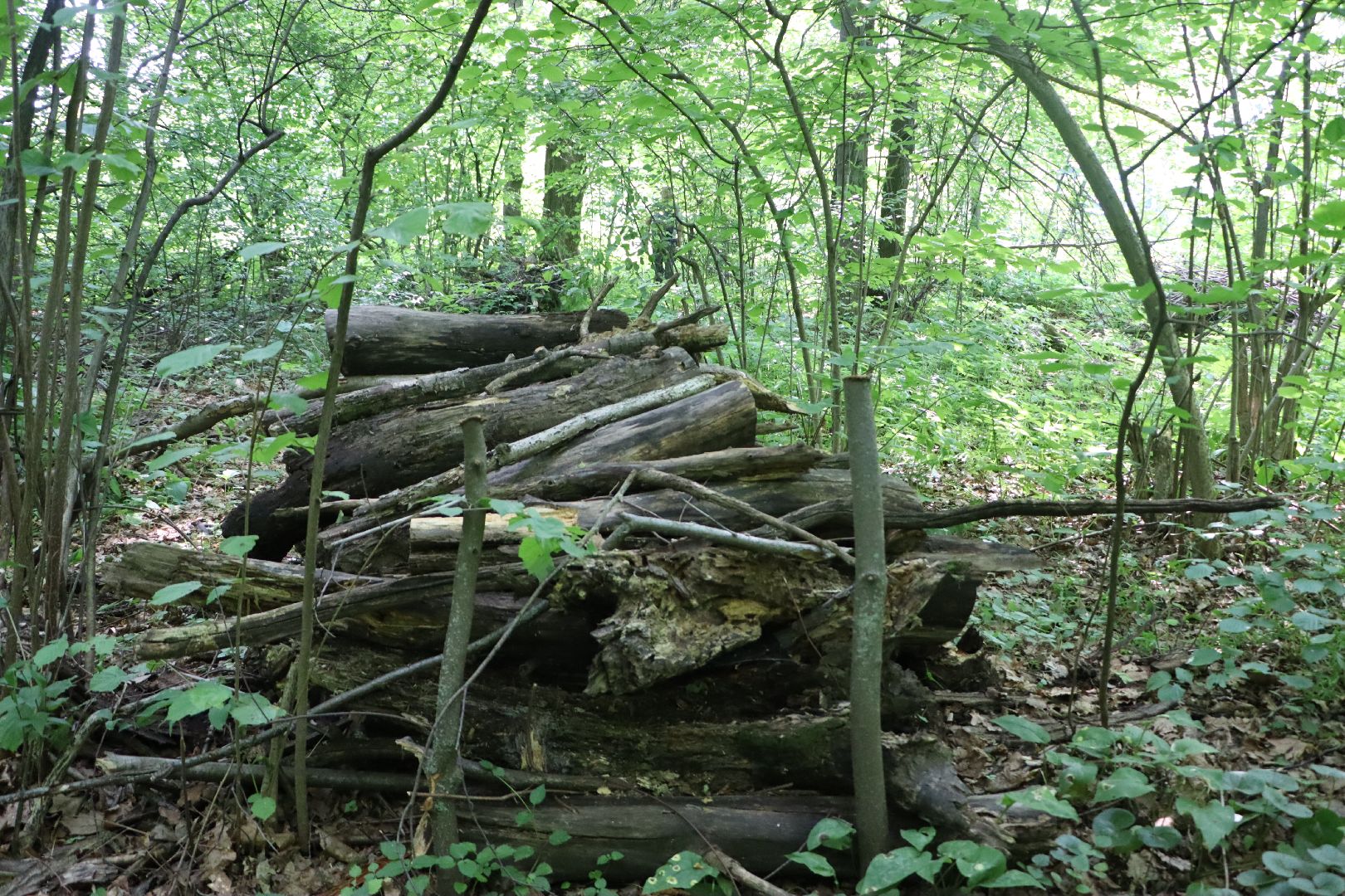 Серебряные Пруды, экология