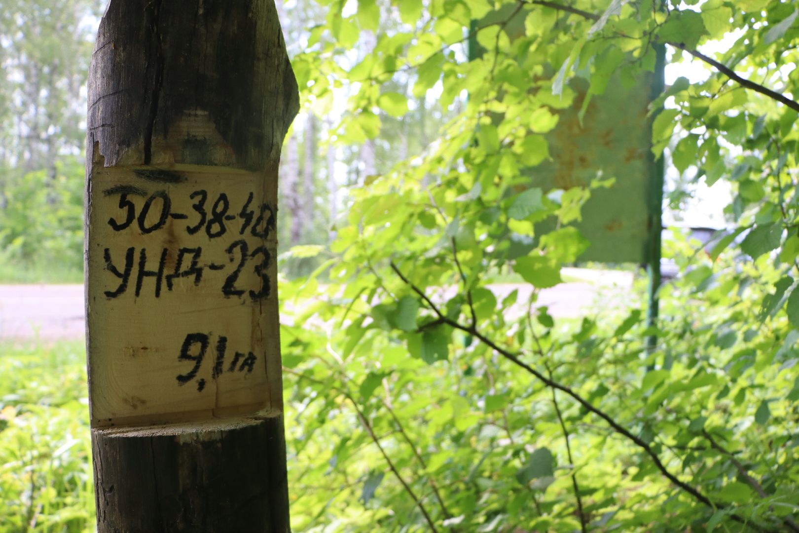 Серебряные Пруды, экология