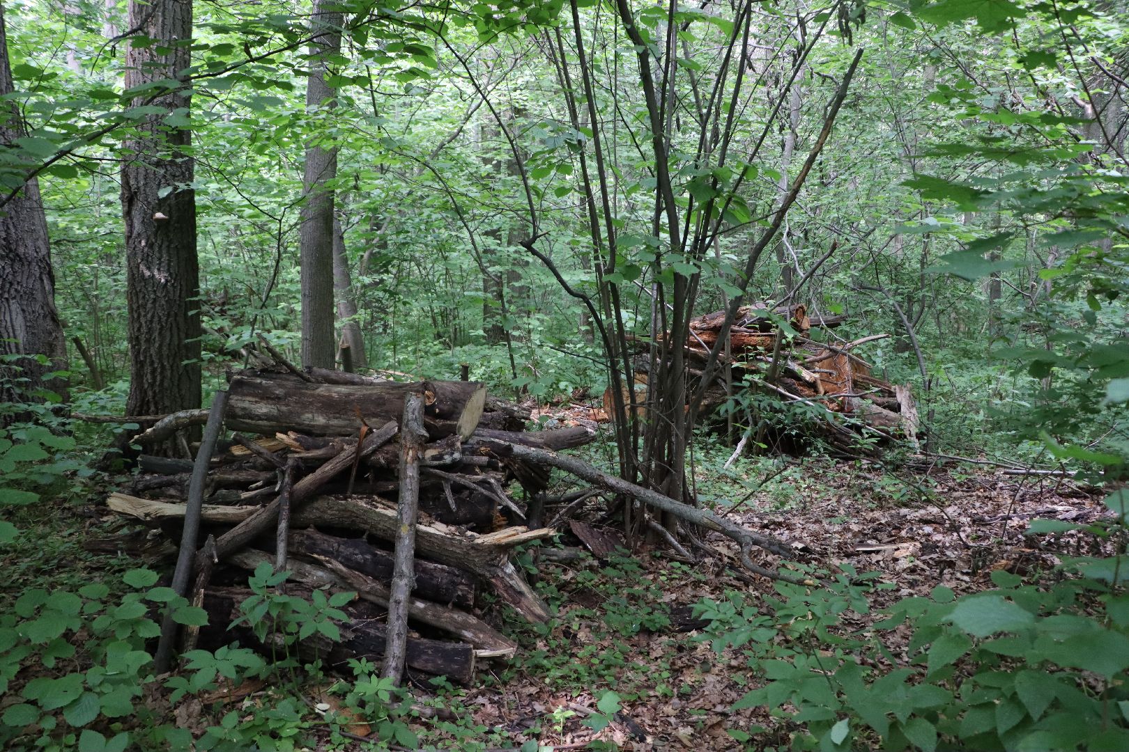 Серебряные Пруды, экология
