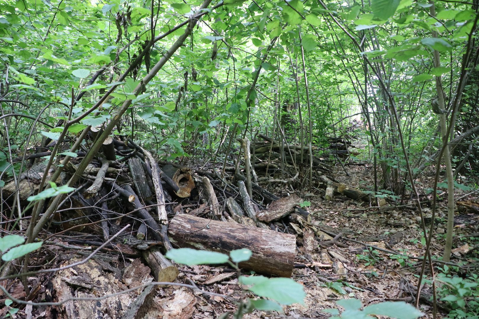 Серебряные Пруды, экология