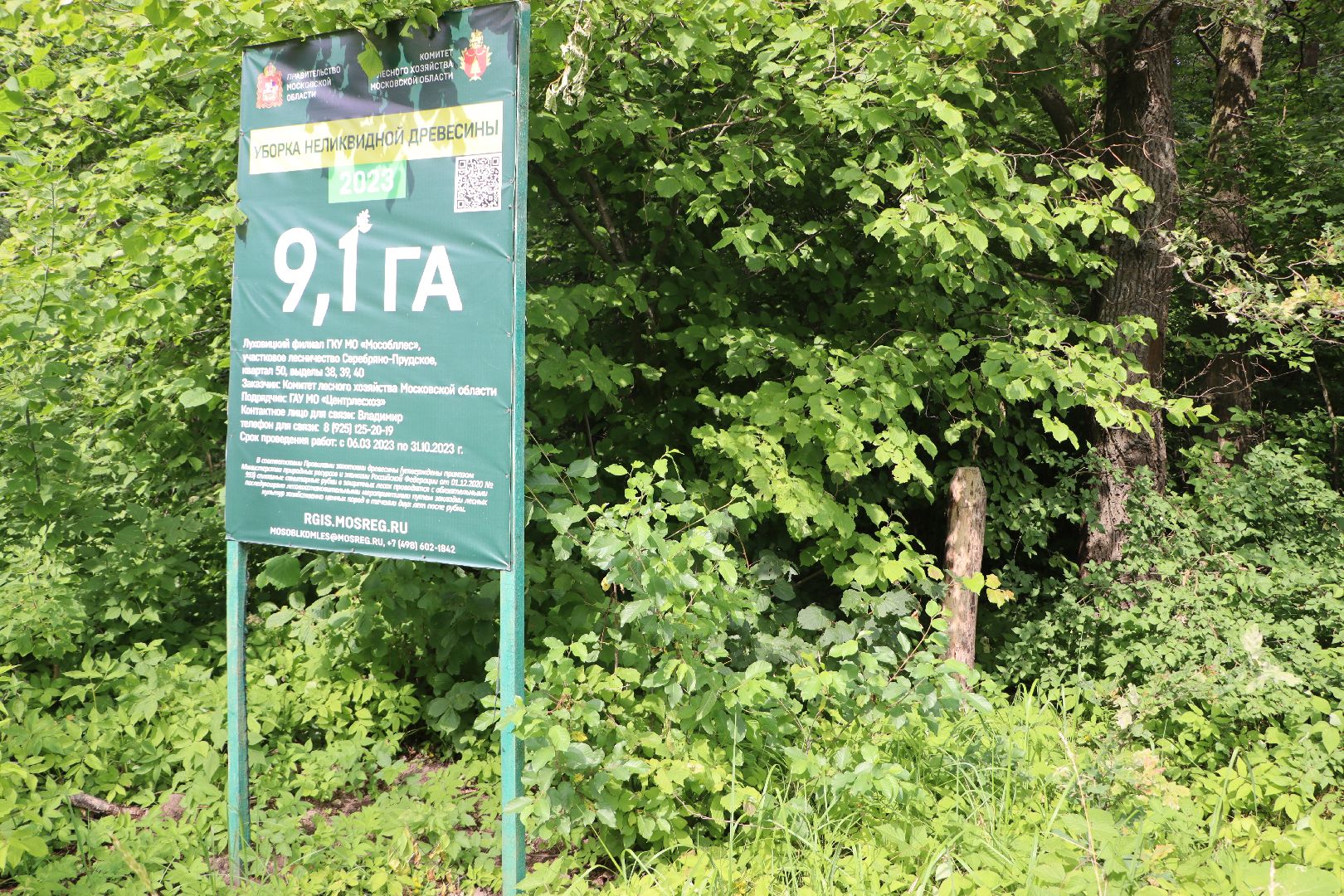 Серебряные Пруды, экология