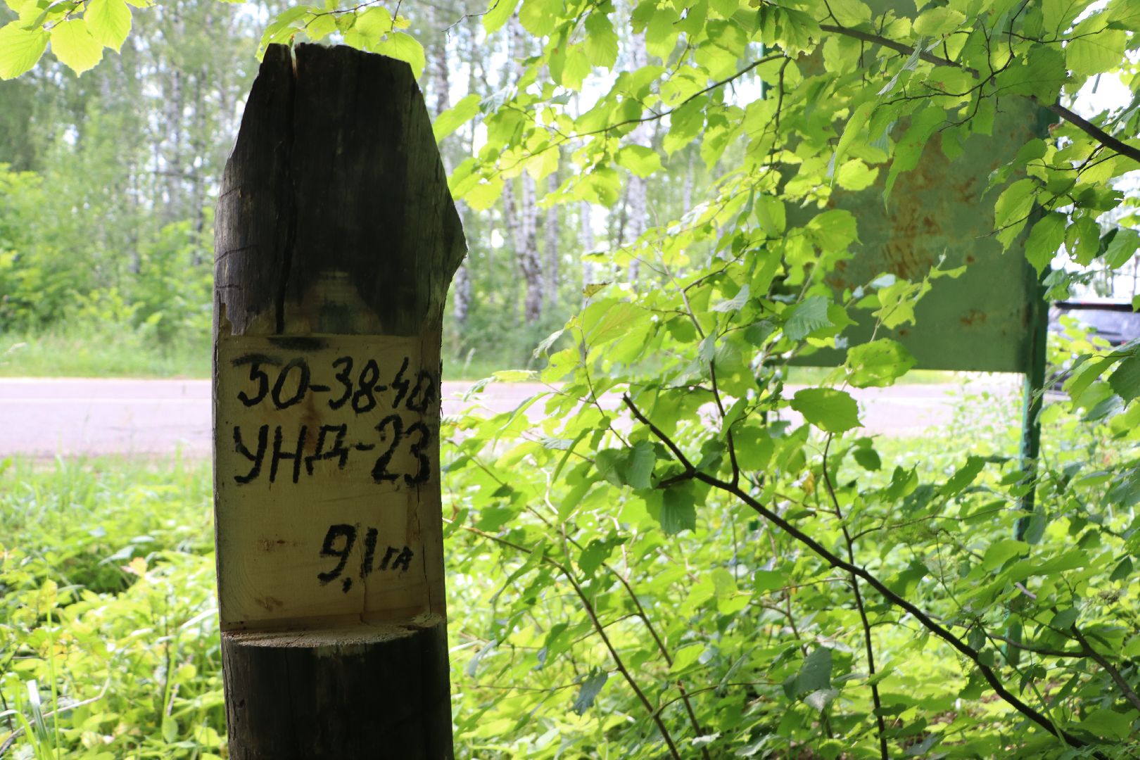 Серебряные Пруды, экология