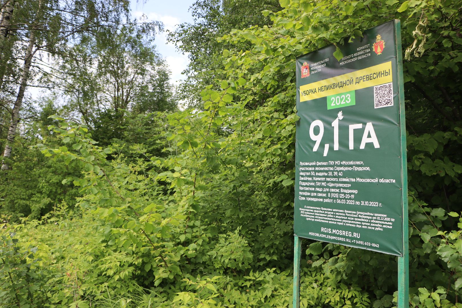 Серебряные Пруды, экология