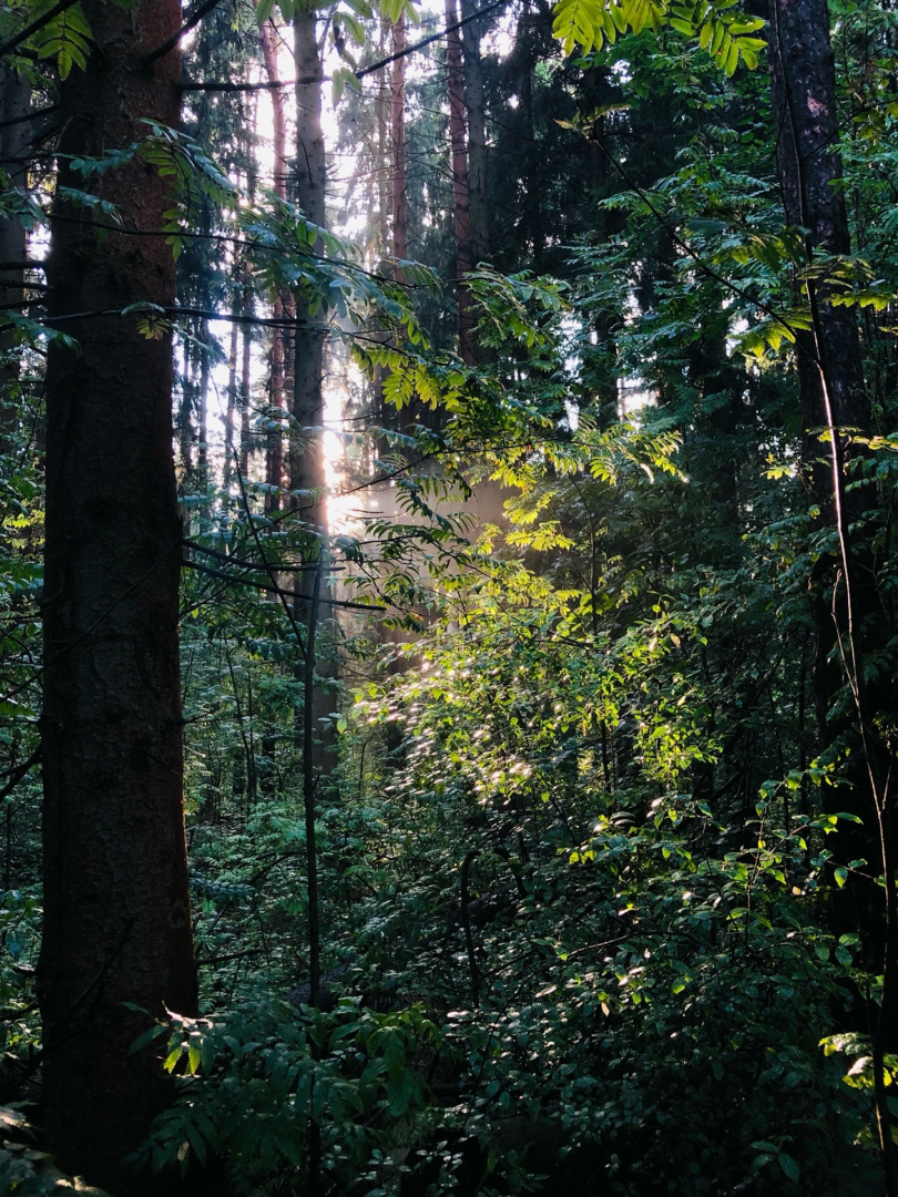 Домодедово, велопрогулка, экскурсия, прогулка, велосипед, местность