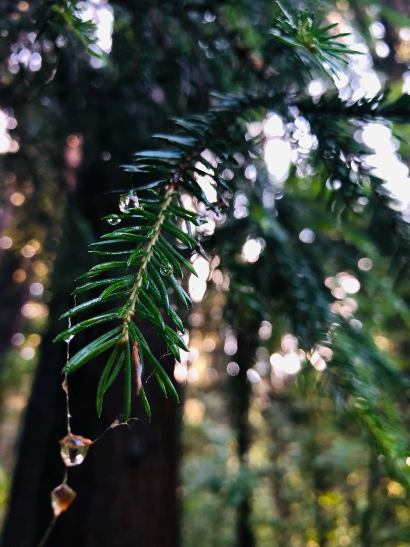 Домодедово, велопрогулка, экскурсия, прогулка, велосипед, местность