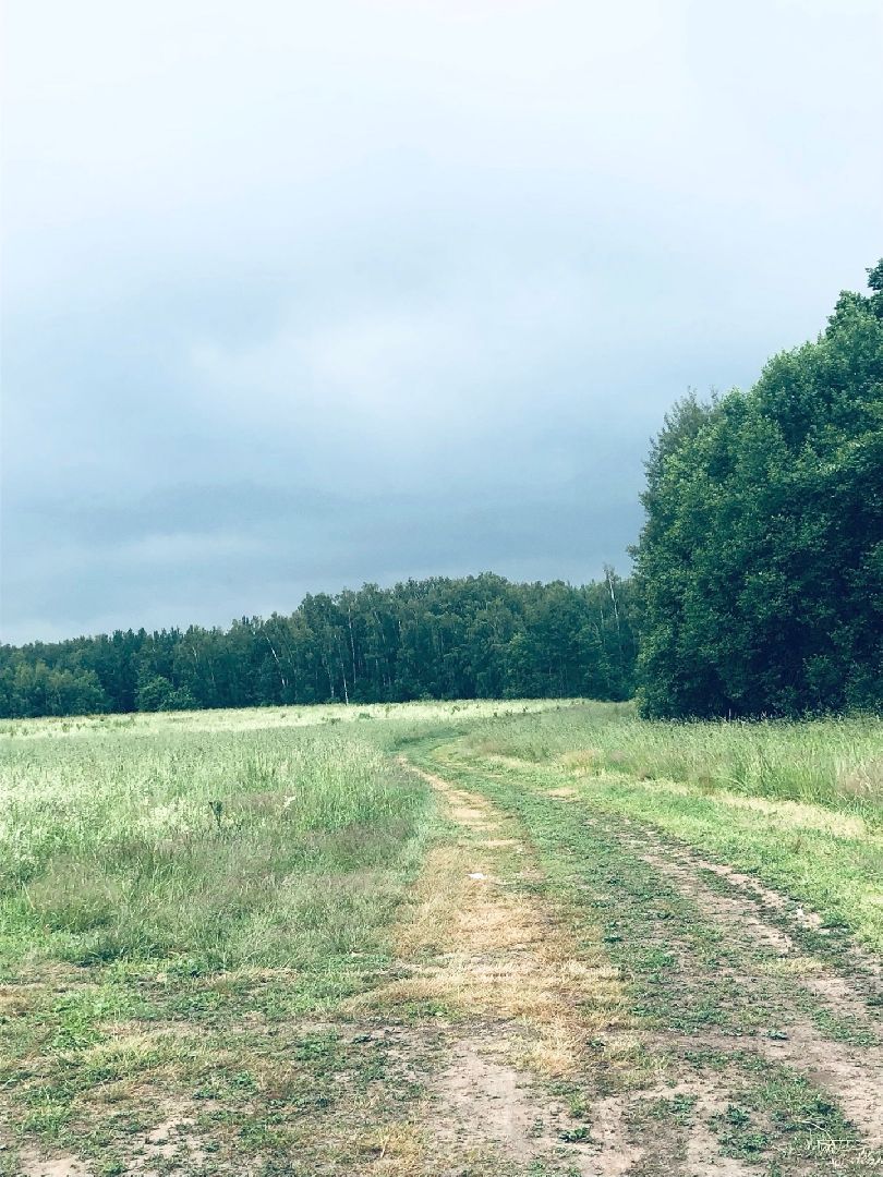 Домодедово, велопрогулка, экскурсия, прогулка, велосипед, местность