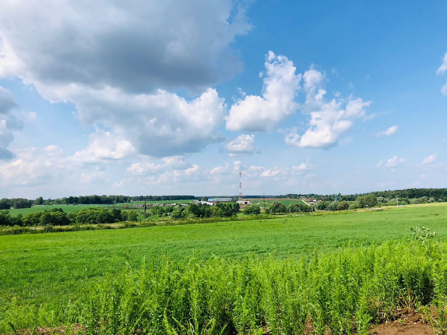 Домодедово, велопрогулка, экскурсия, прогулка, велосипед, местность