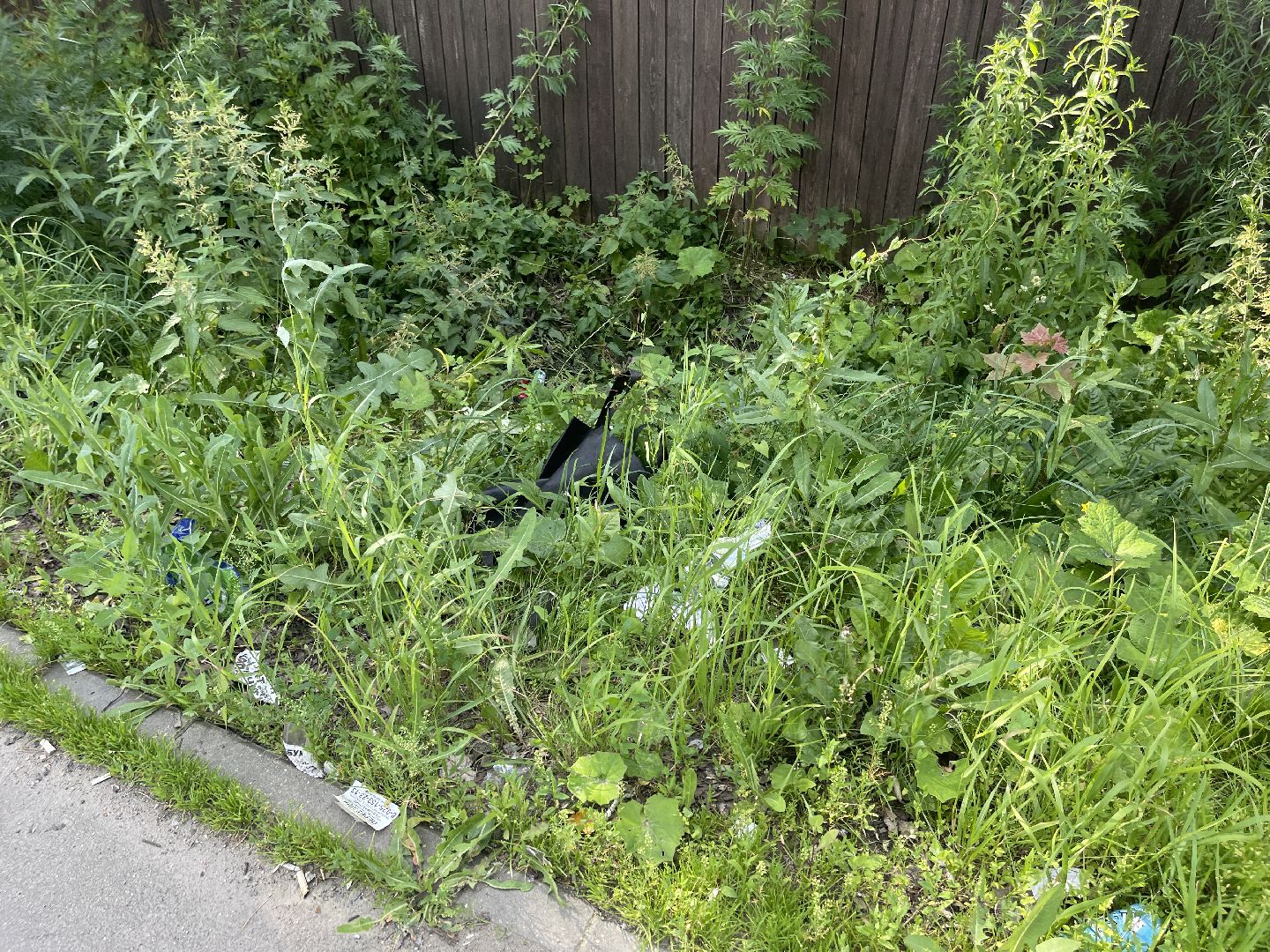 Одинцово, Лесной городок, благоустройство, коммунальные службы, мусор,