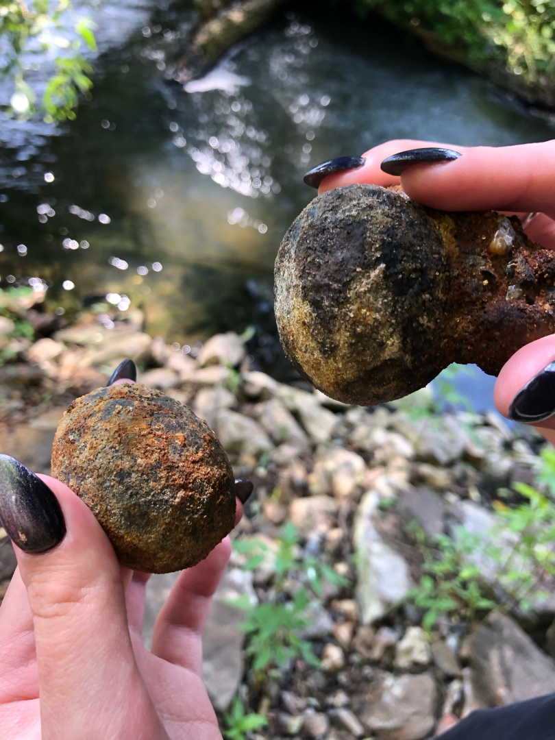 Домодедово, экскурсия, поиск окаменелостей, поиск моллюсков, река, берег реки