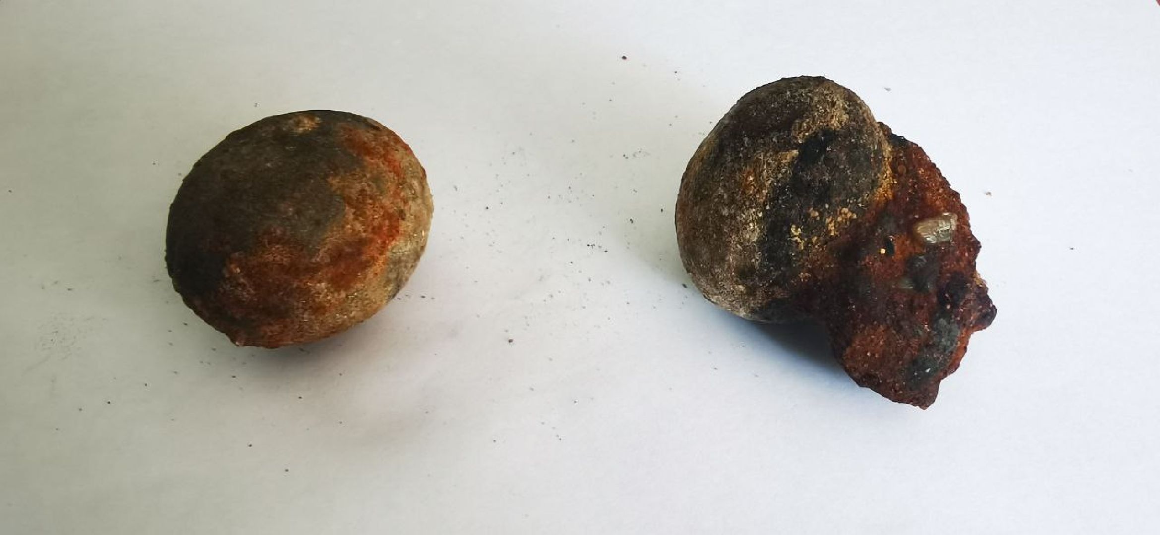 Домодедово, экскурсия, поиск окаменелостей, поиск моллюсков, река, берег реки