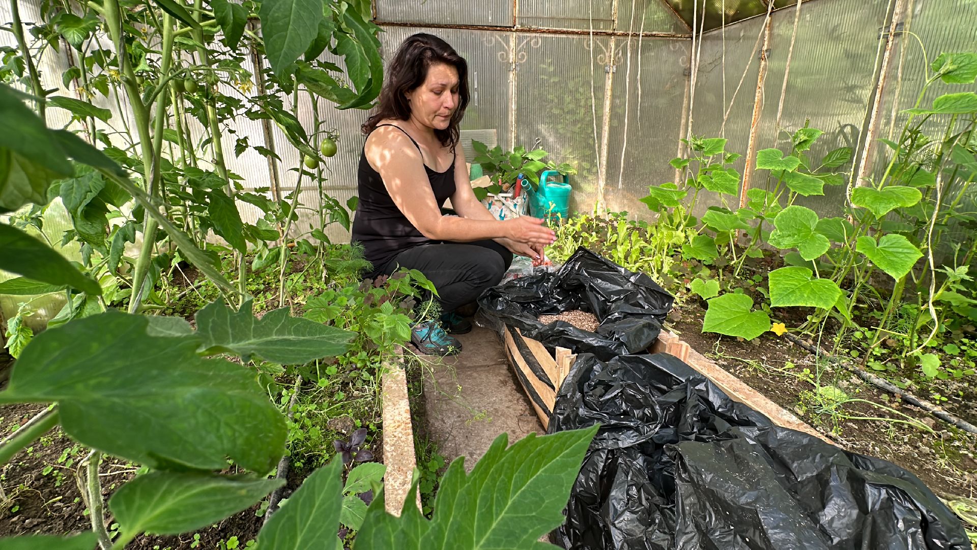 Одинцово, Общество, Экология, Лето, Грибы