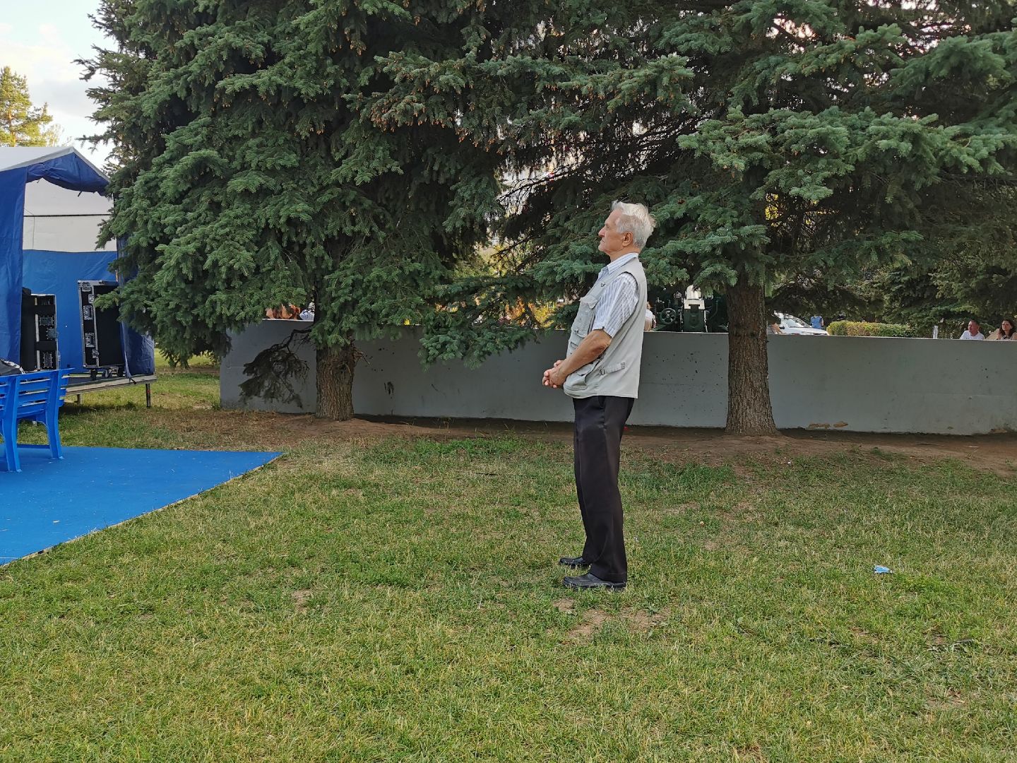 культура, кино, фестиваль,