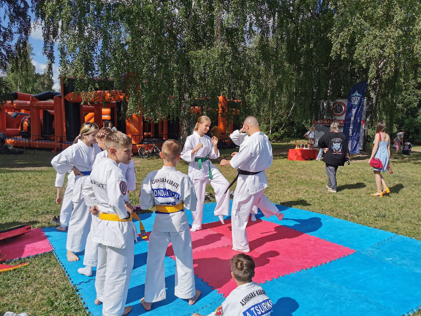 спорт, единоборства,