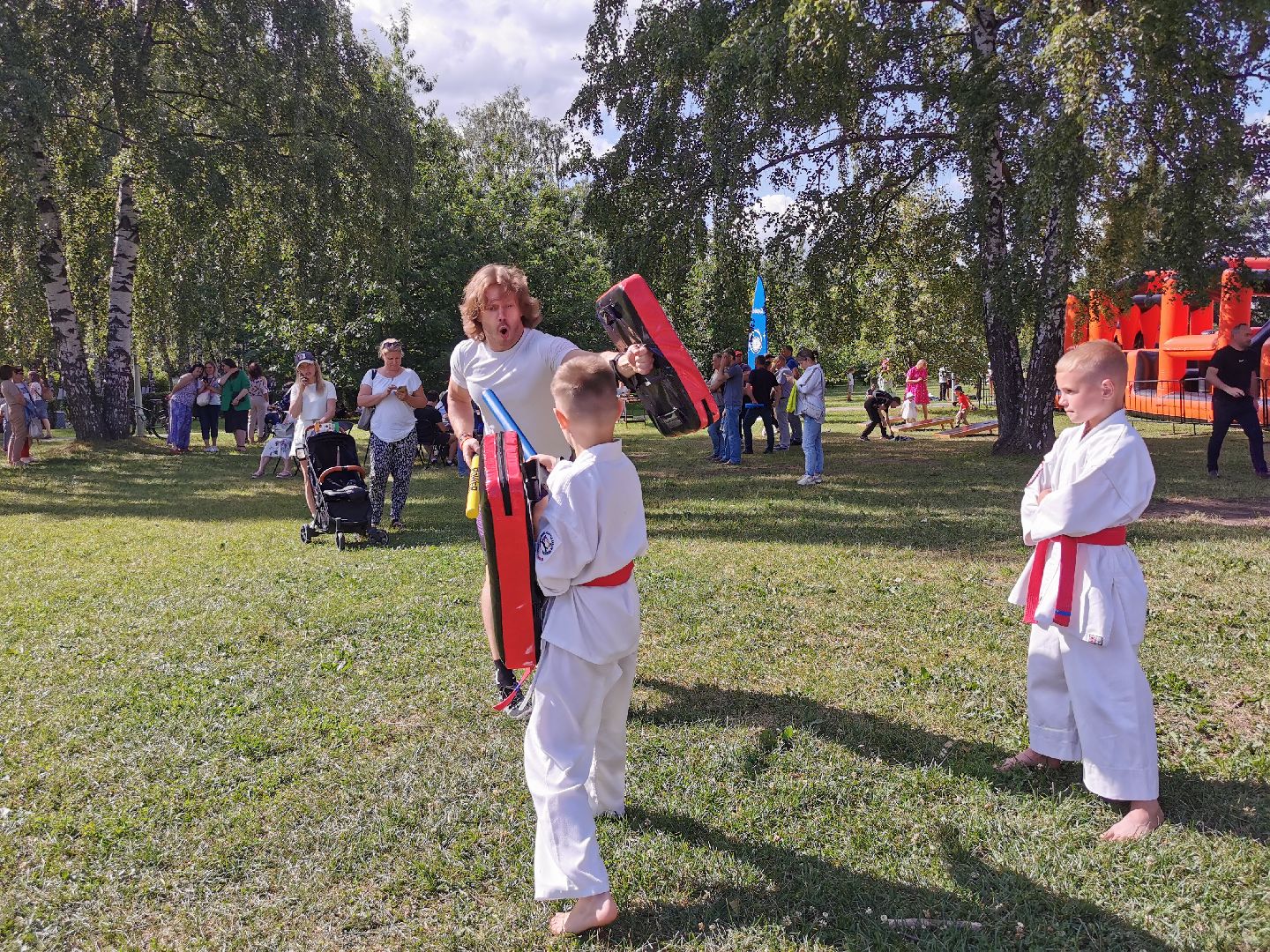 спорт, единоборства,