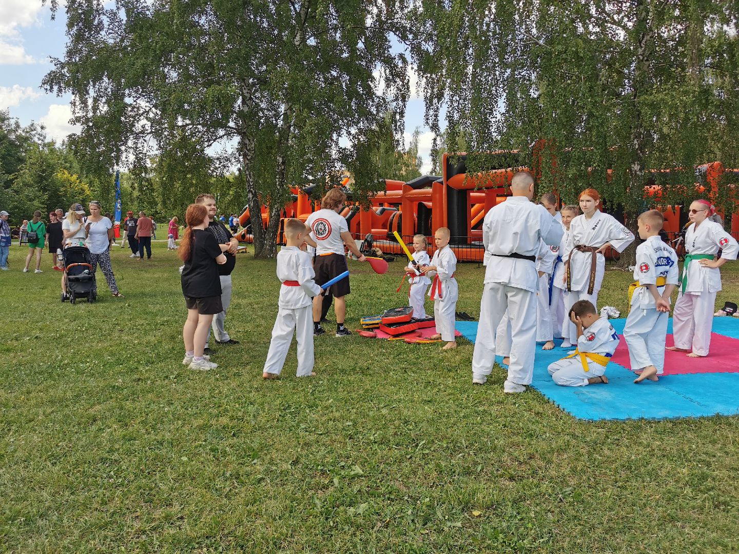 спорт, единоборства,