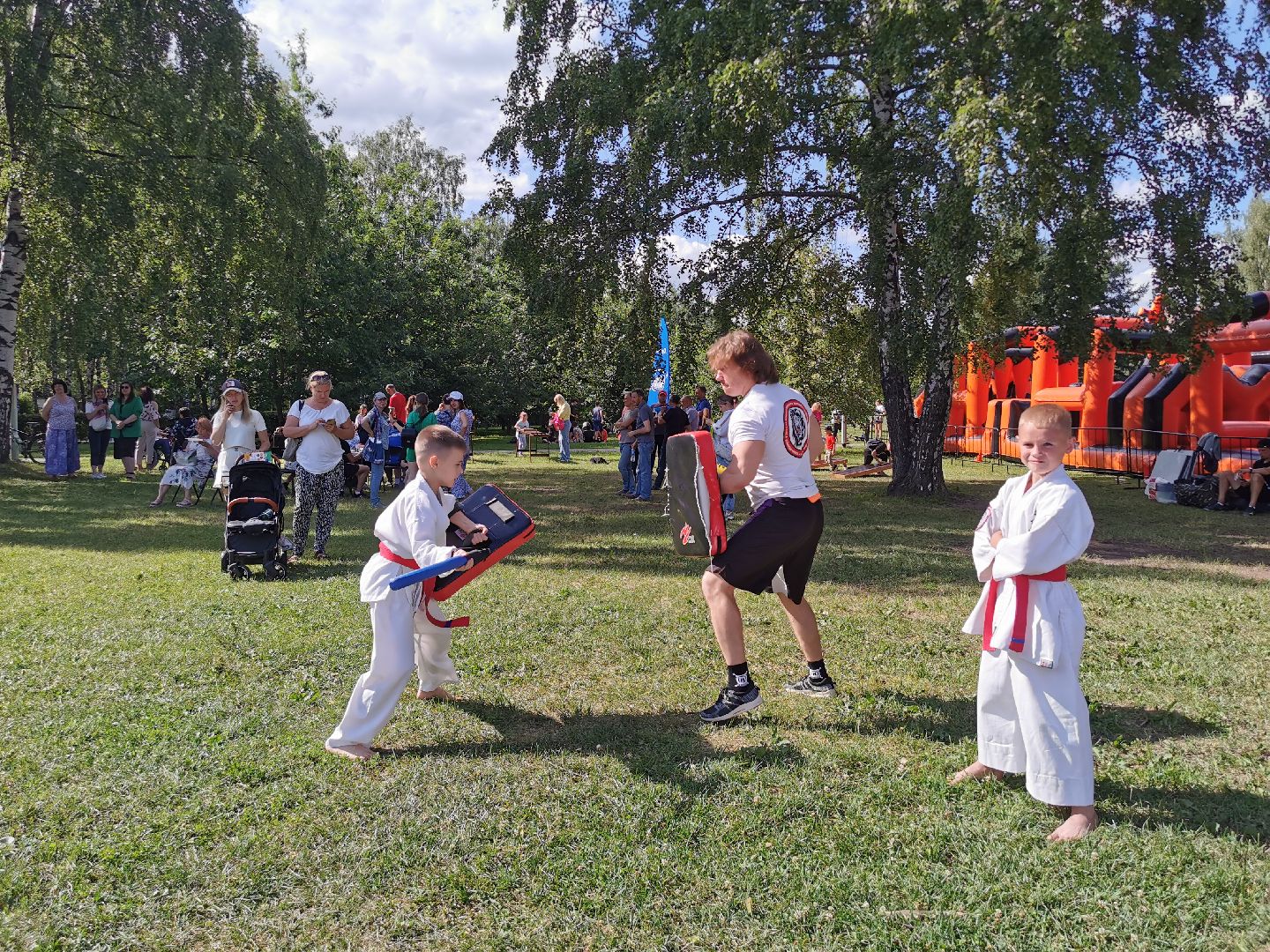 спорт, единоборства,