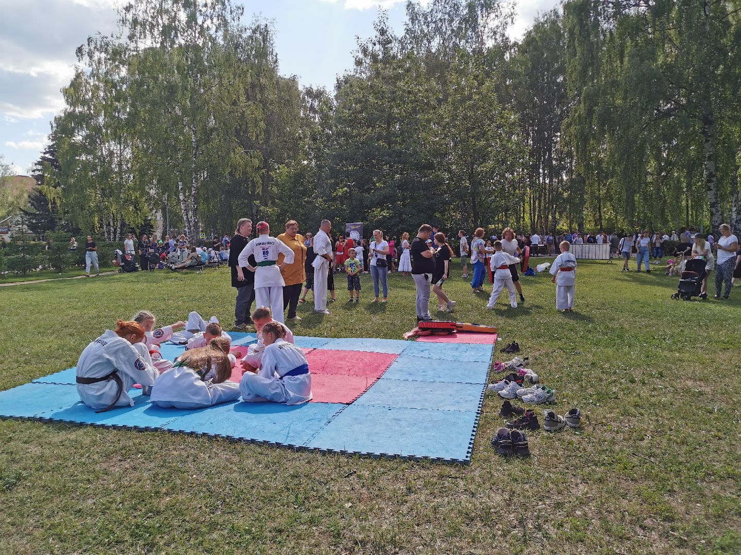 спорт, единоборства,