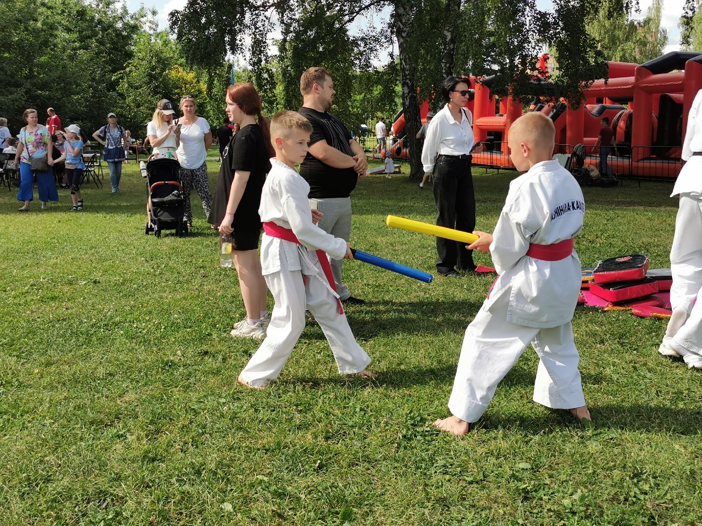 спорт, единоборства,