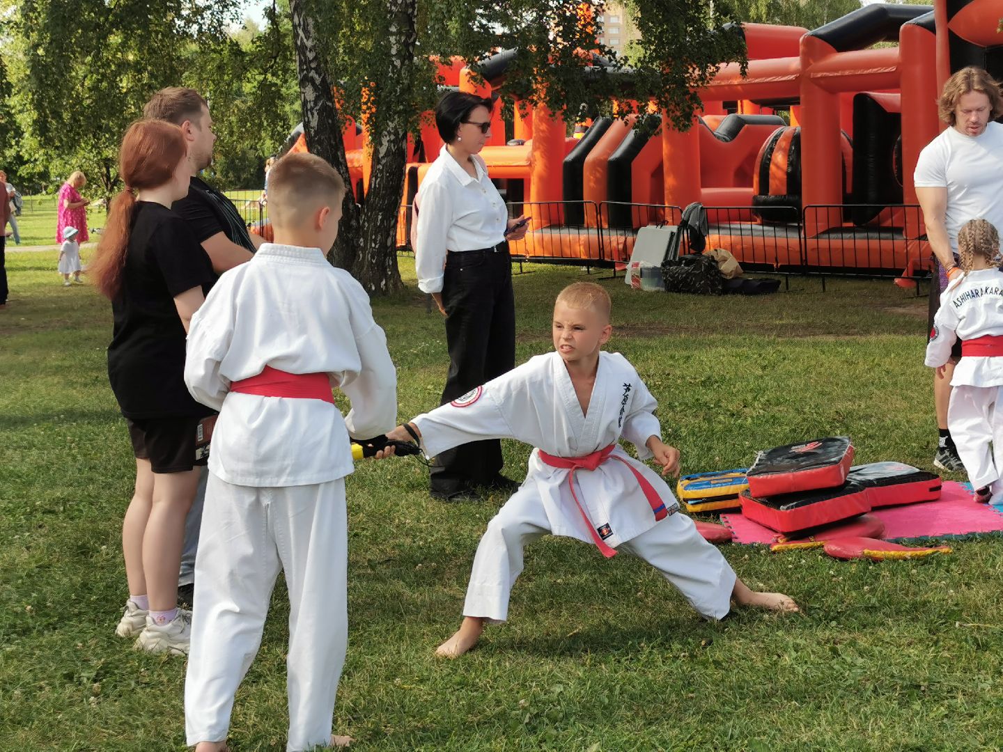 спорт, единоборства,