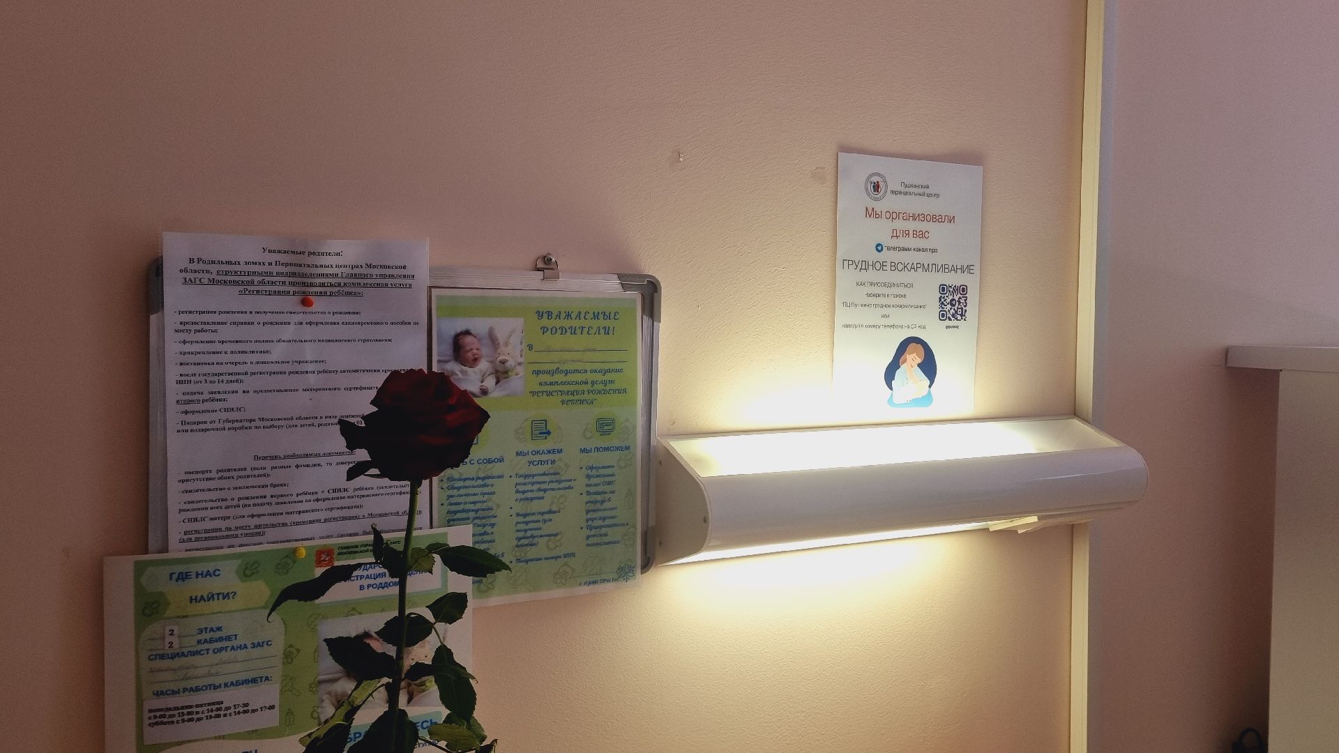 Подмосковье, Городской округ Пушкинский, медицина, здравоохранение.