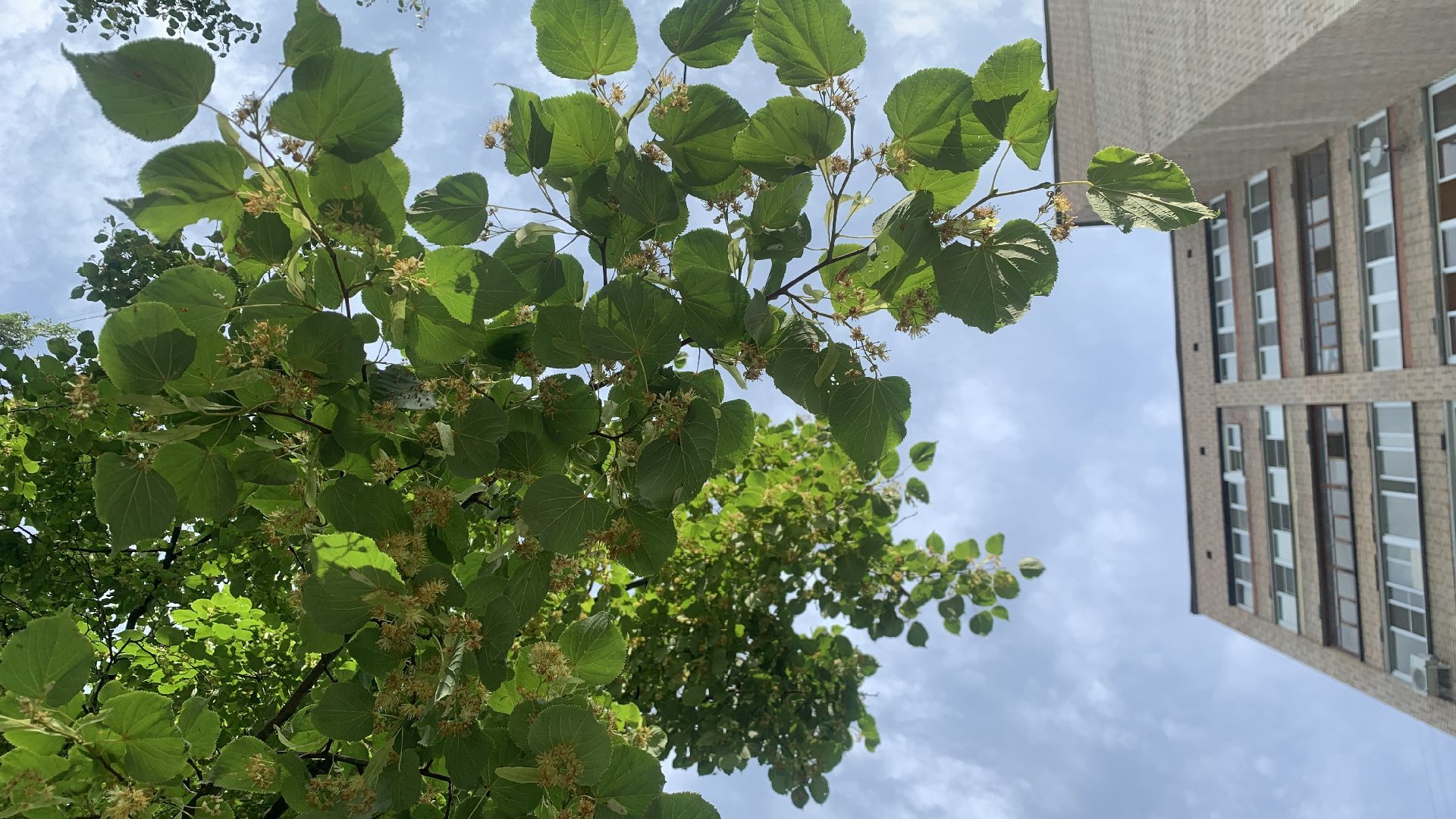 Ступино, гимн округа, конкурс