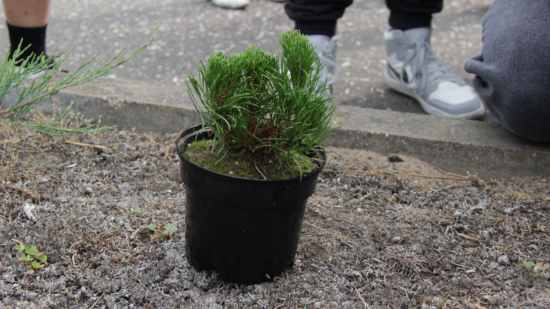 #Рошаль#БольшаяШатура#побратимы#Беларусь