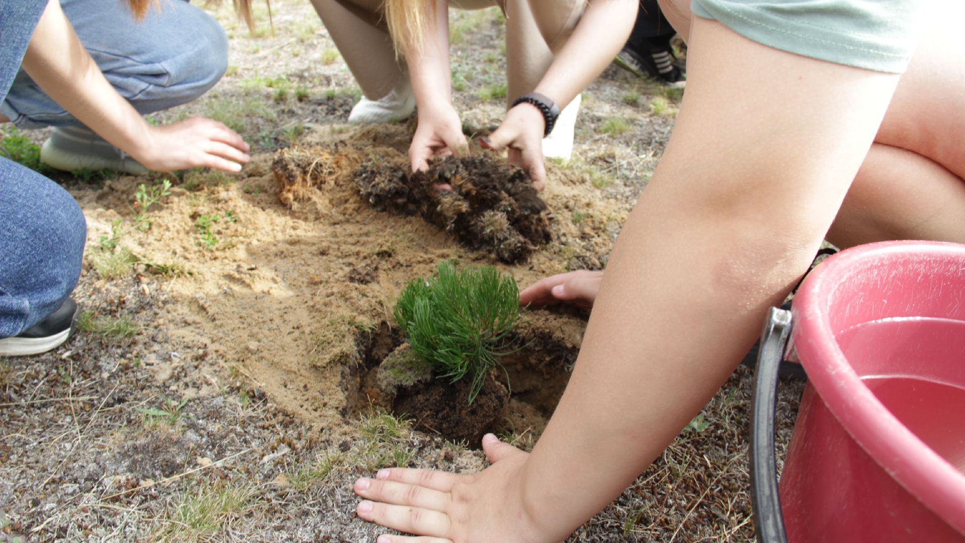 #Рошаль#БольшаяШатура#побратимы#Беларусь