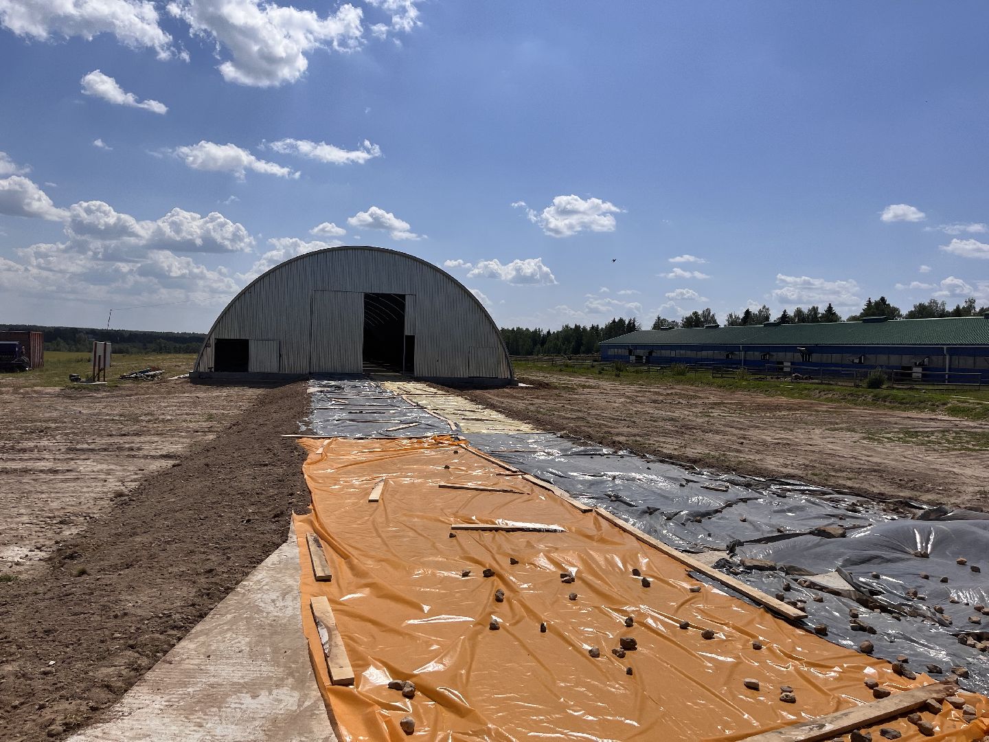 Шаховская, овцы, кфх, ферма