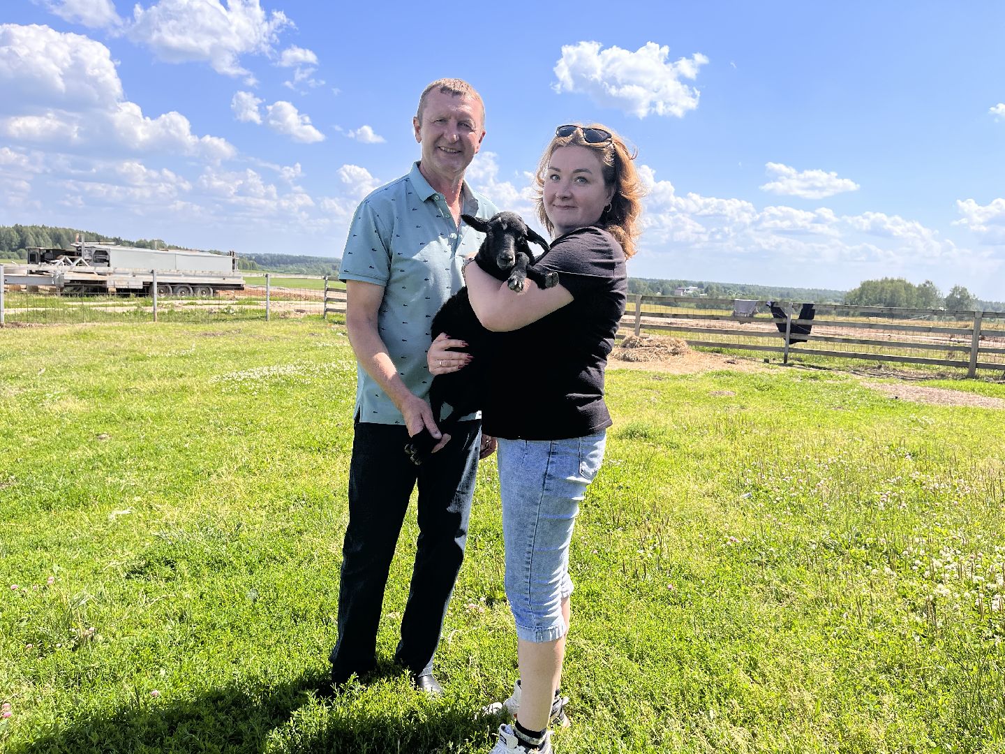 Шаховская, овцы, кфх, ферма