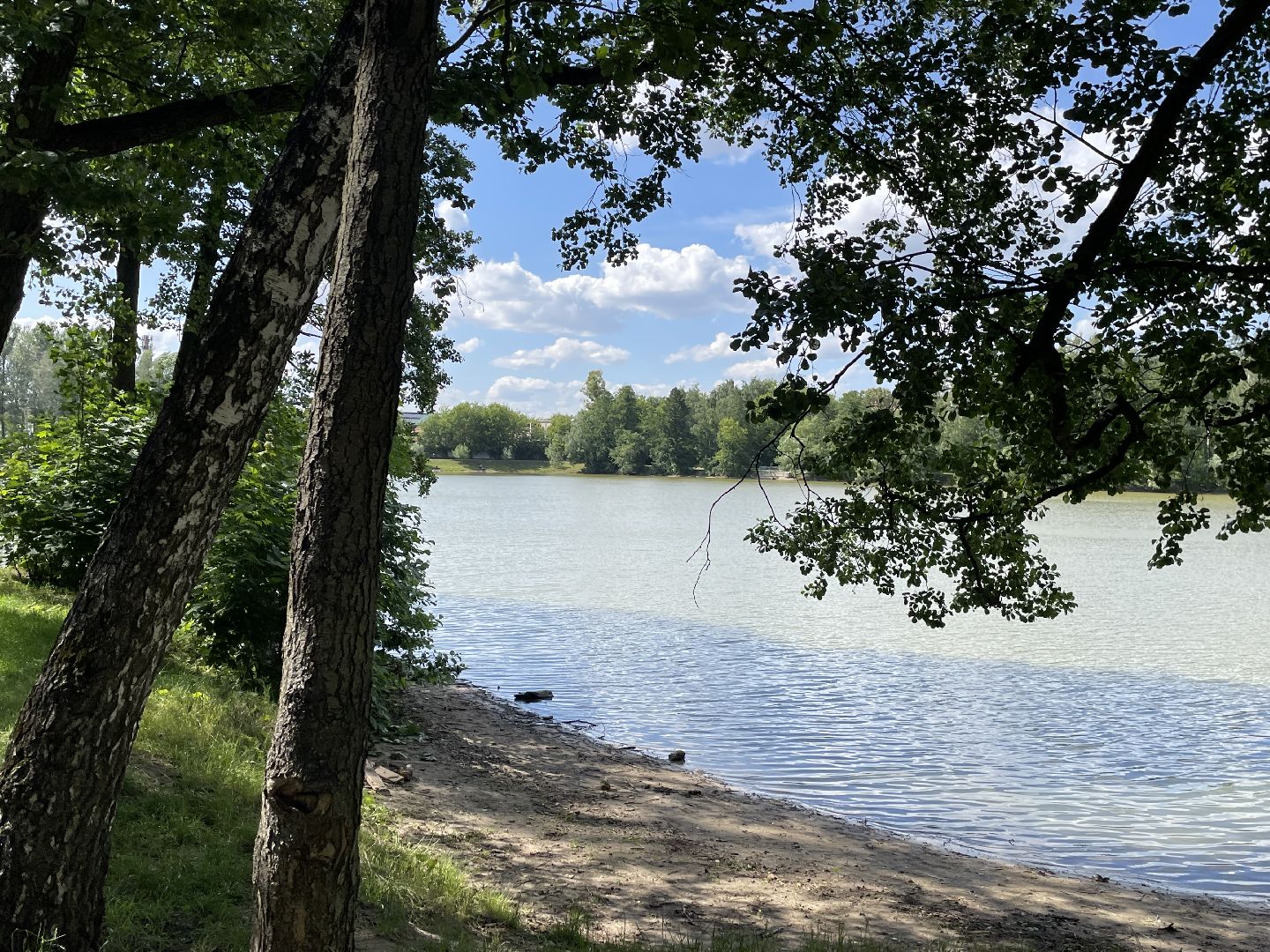 Экология, черепахи, озера, очистка