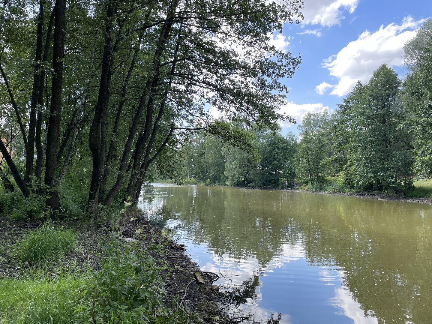 Экология, черепахи, озера, очистка