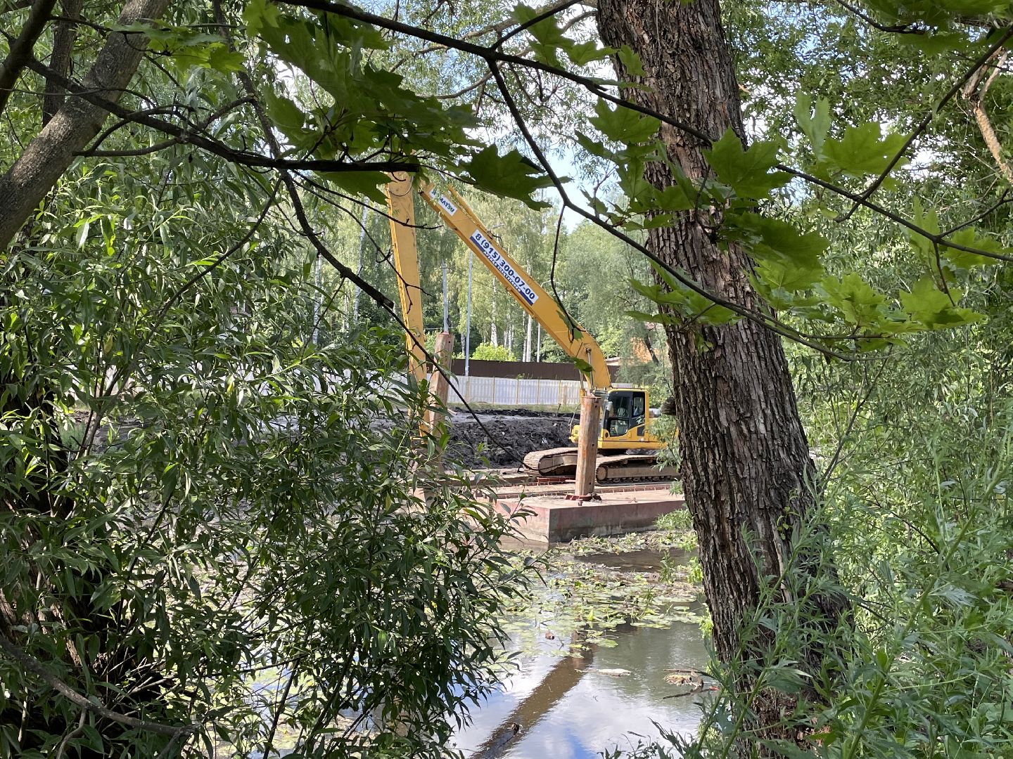 Экология, черепахи, озера, очистка