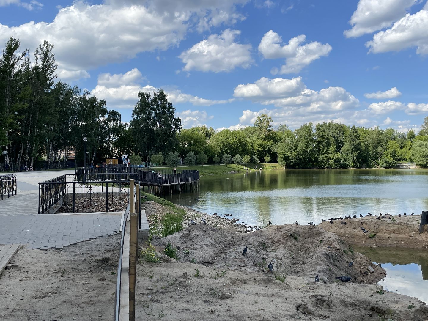 Экология, черепахи, озера, очистка