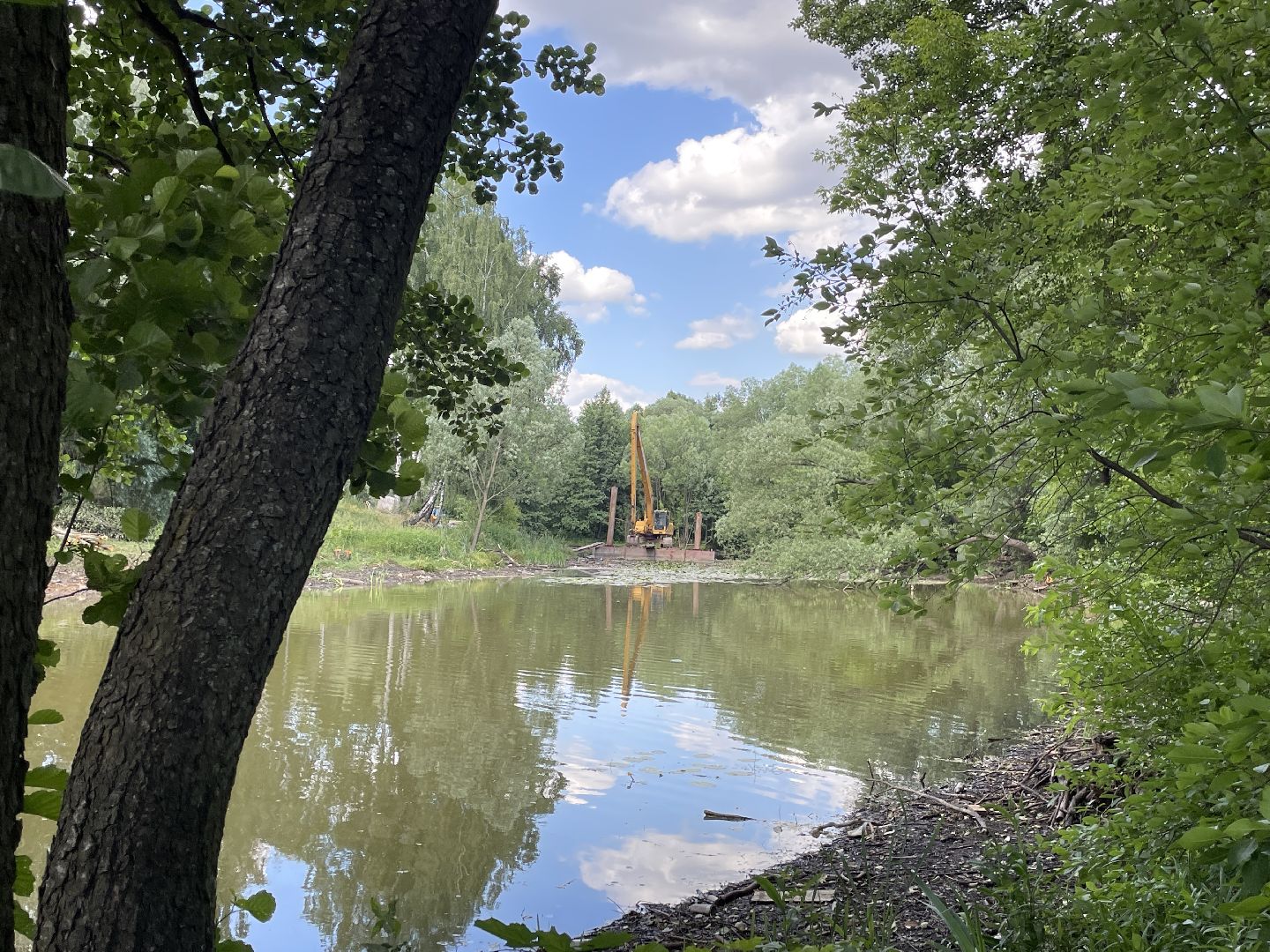 Экология, черепахи, озера, очистка