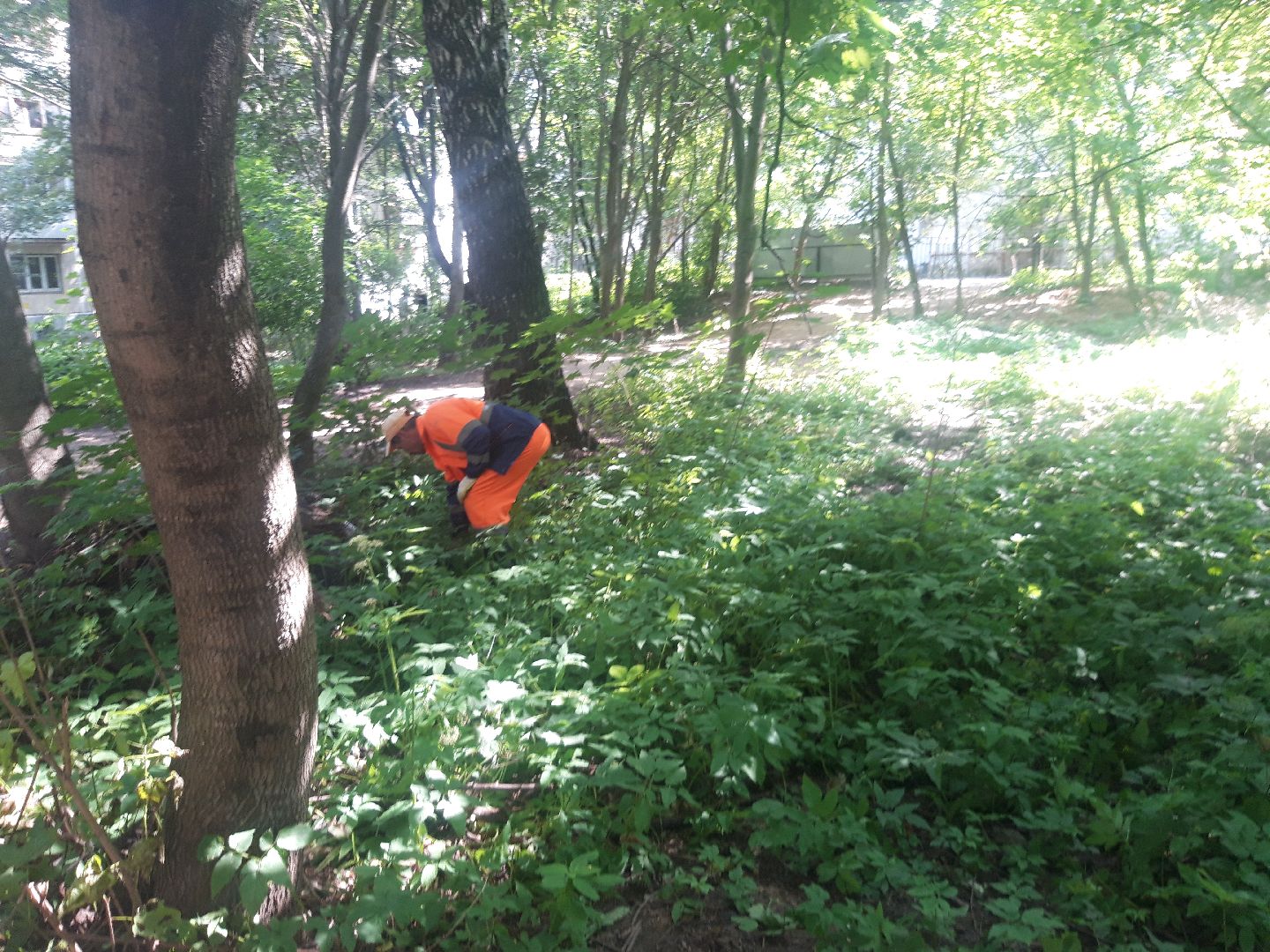 доброе дело, выходи во двор, двор,