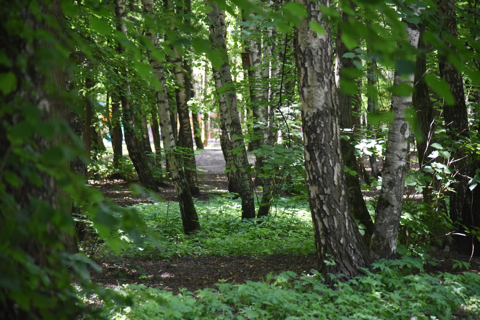 Химки, пожар, безопасность