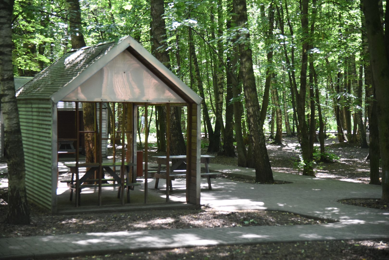 Химки, пожар, безопасность