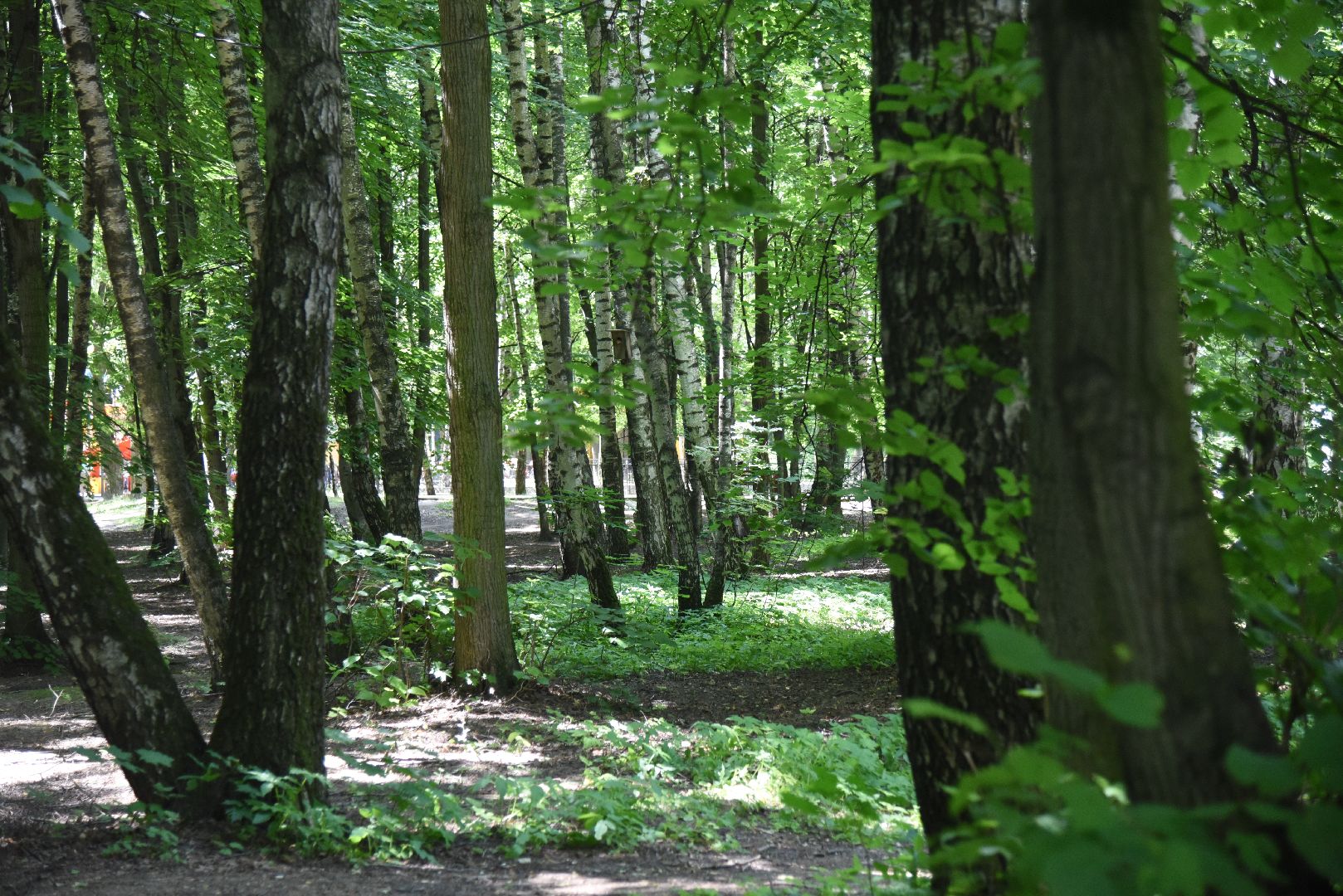 Химки, пожар, безопасность