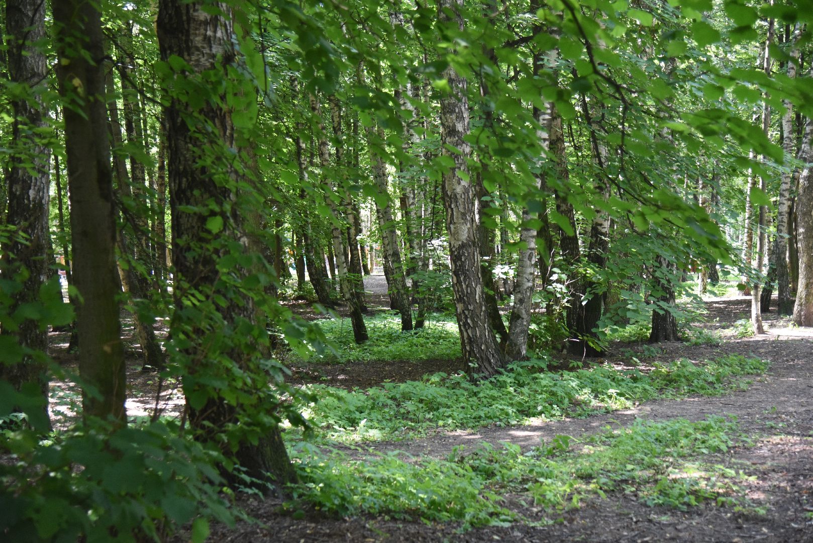 Химки, пожар, безопасность