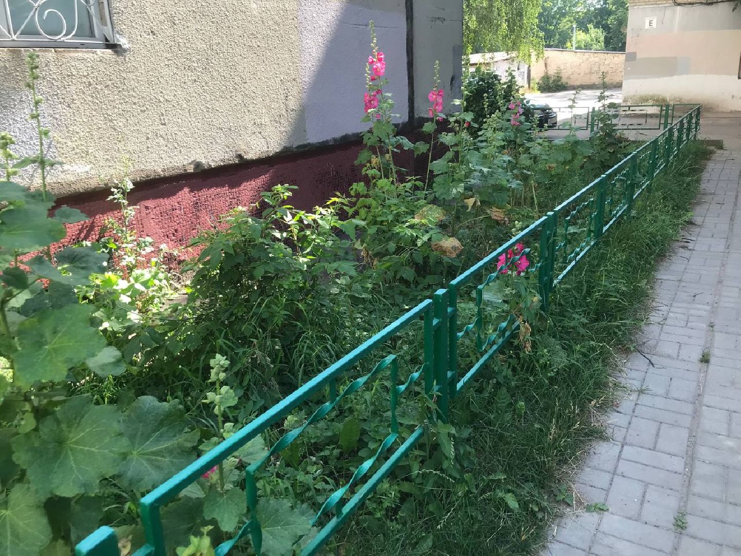 Коломна, благоустройство, общество