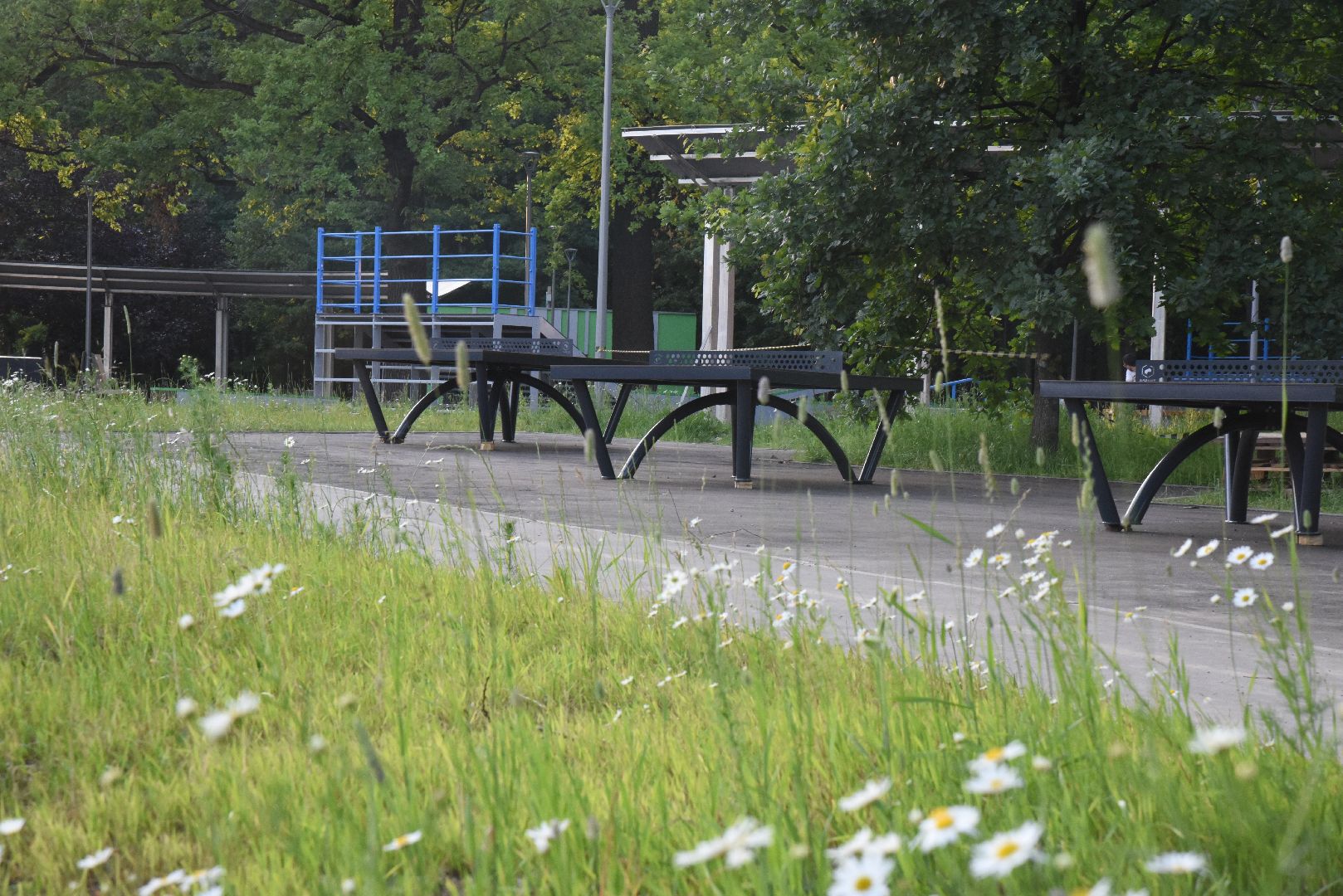 Химки, парк, благоустройство, спорт