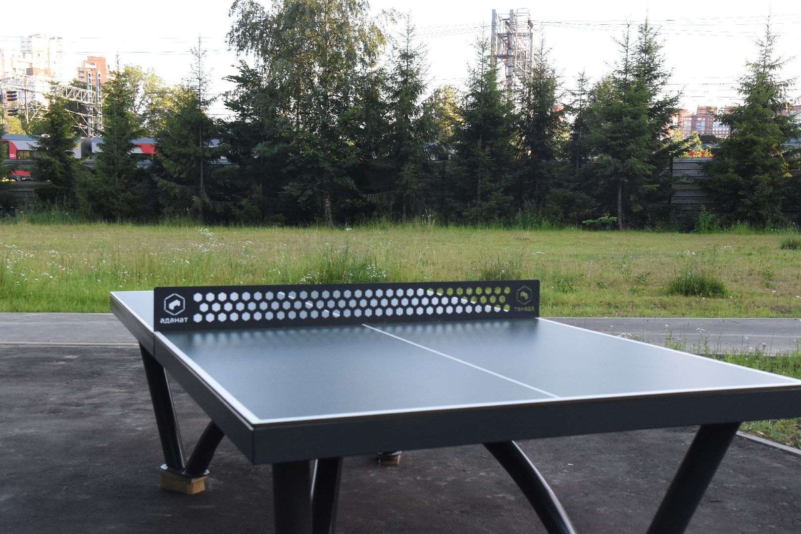 Химки, парк, благоустройство, спорт